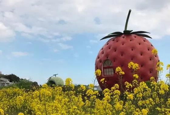 菜の花ごしのフルーツバス停