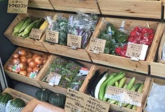 有機野菜が購入出来ます