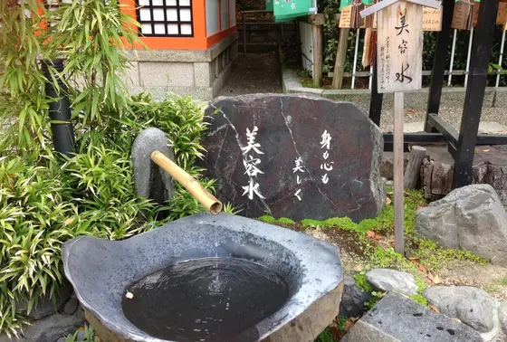 美容水