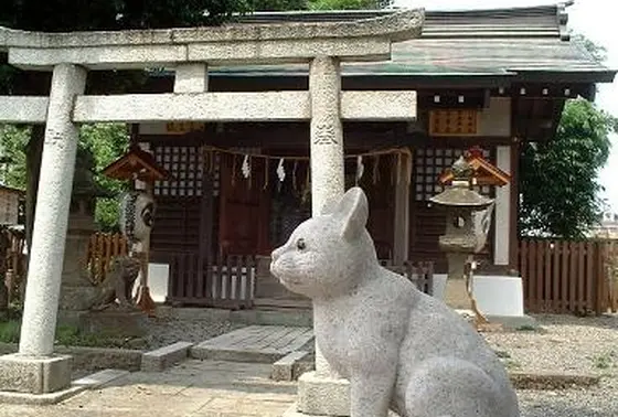 狛犬→狛猫です