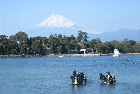 ダイビングスポットです