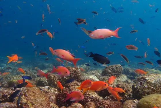 ポイントは5ヶ所