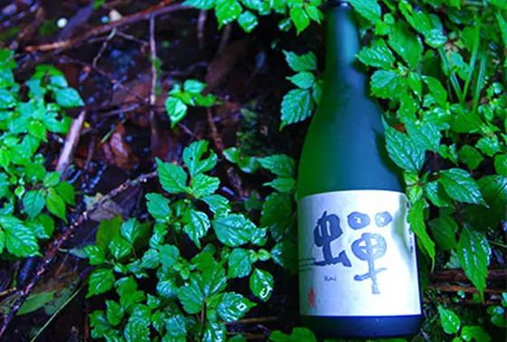 ワイングラスで日本酒？！