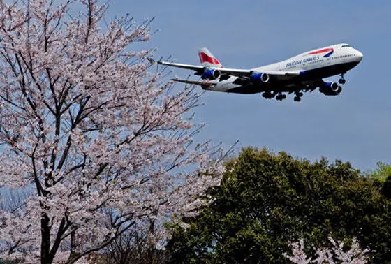 着陸機がすぐそこに!!