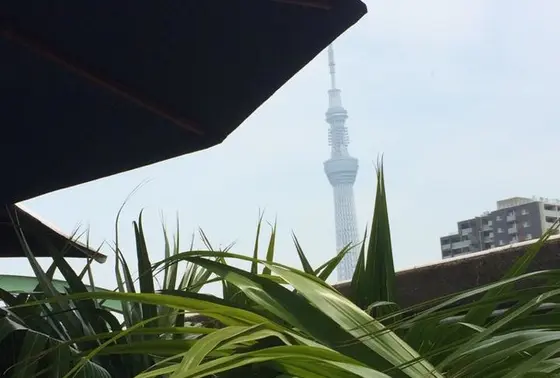 お天気のいい日はテラス席もおすすめ