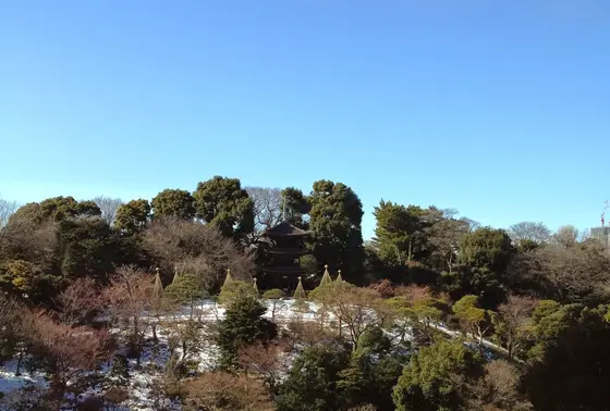 四季折々の表情が楽しめる庭園