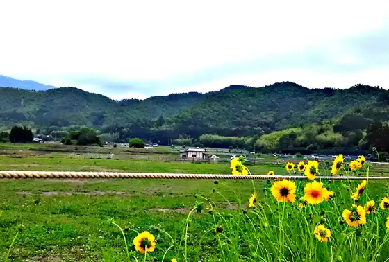 北嵯峨の田園風景