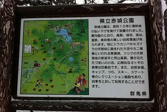 自分のペースや好みに合わせて楽しもう