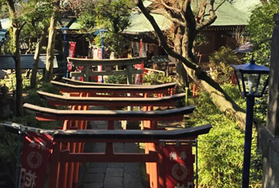 連なる鳥居を登って境内へ