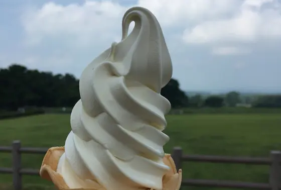 めちゃくちゃ美味しい！