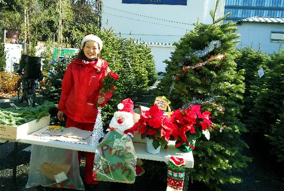 クリスマスツリー