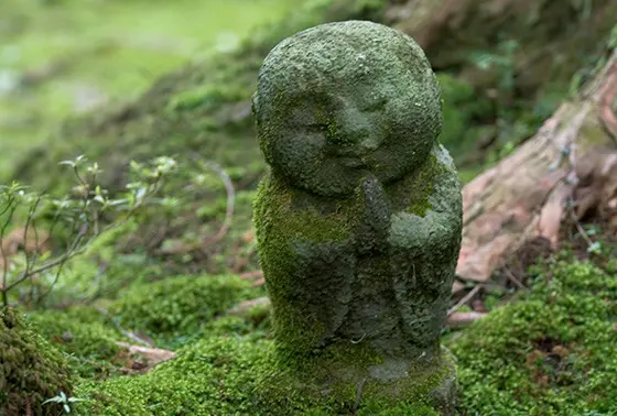 苔むす「わらべ地蔵さん」