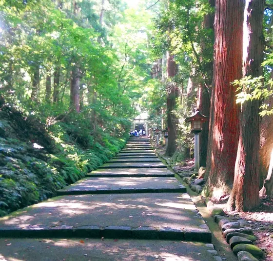 静寂の中を歩く～表参道