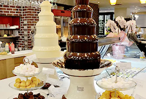 2種類のチョコファウンテン♡