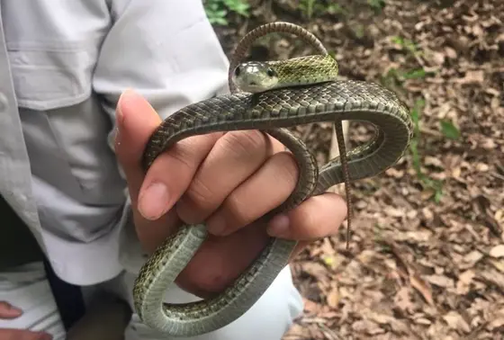 触れ合いにもチャレンジ‼