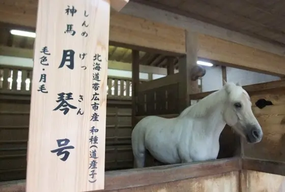 馬