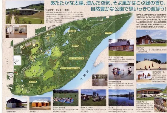 アクティビティ