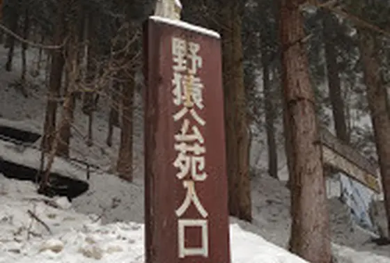 雪の遊歩道