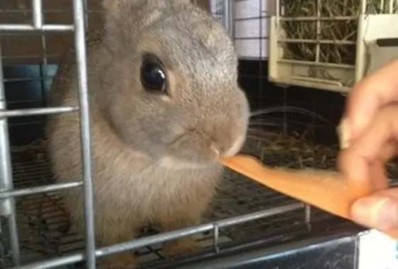 スポ餌やり