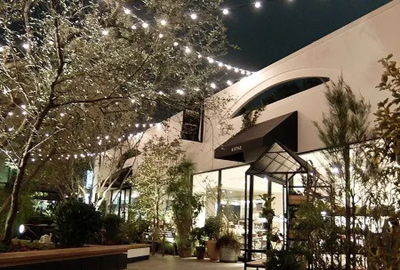 夜