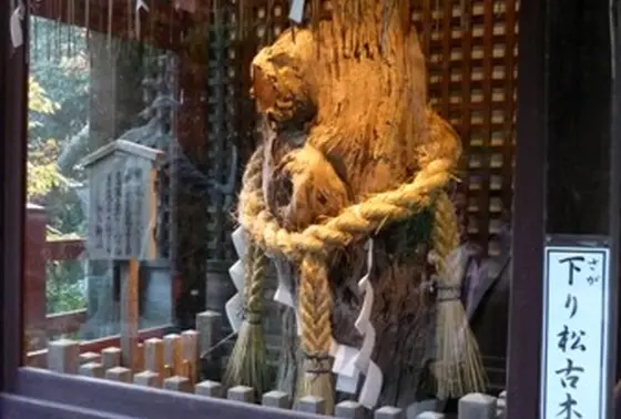 初代「下り松」