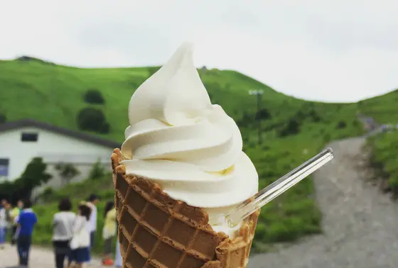 高原ソフトクリームがおすすめ！