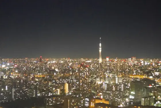 行くなら夜♡