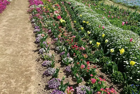 花