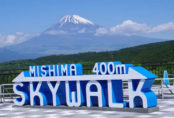 富士山を望む