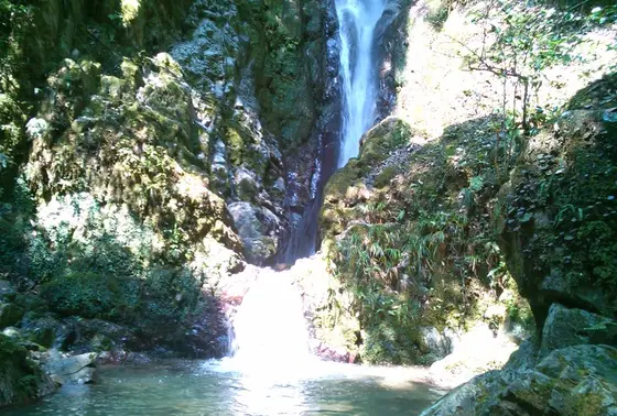 また公園麓から歩いて５分ほどで滝を見に行けます！