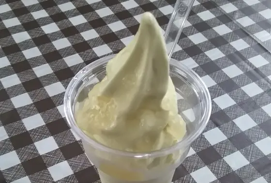 別府に来たら必ず立ち寄るこの店🍦