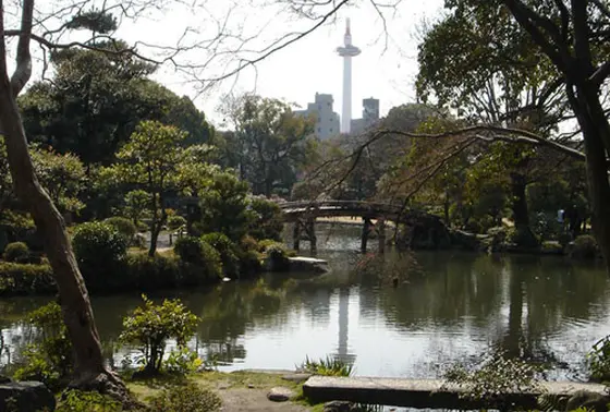 京都タワーも見えます