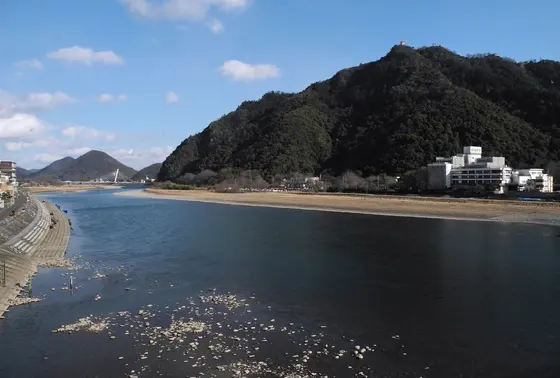 金華山と岐阜城