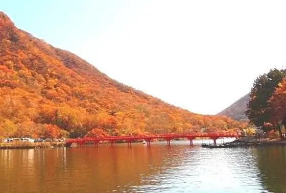 まわりの紅葉の色と同化？