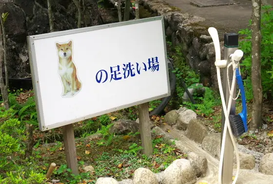 坑道内はペットもＯＫ