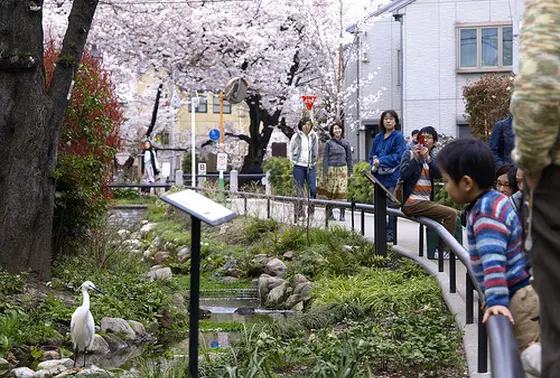 珍しい鳥に会えることも？