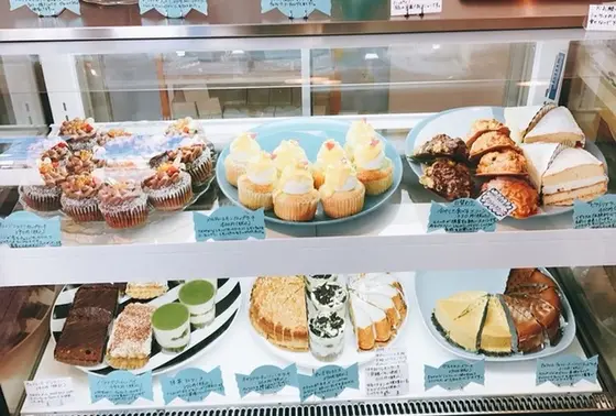ショーケース
