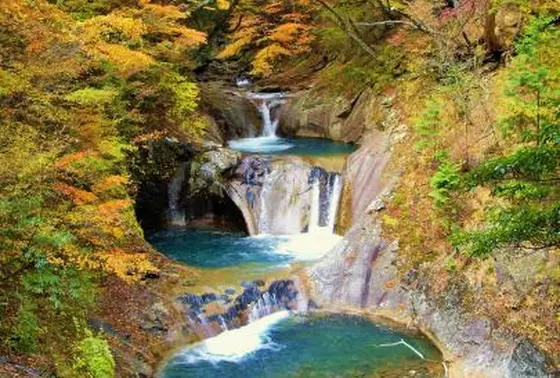 紅葉がみごろ！