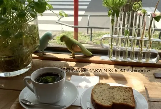 茶沢通りを眺めながら