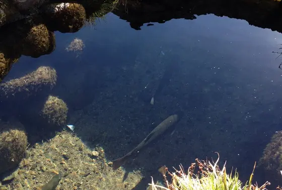 せせらぎを聞きながら町散策♪
