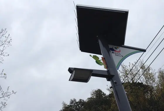 街灯の上