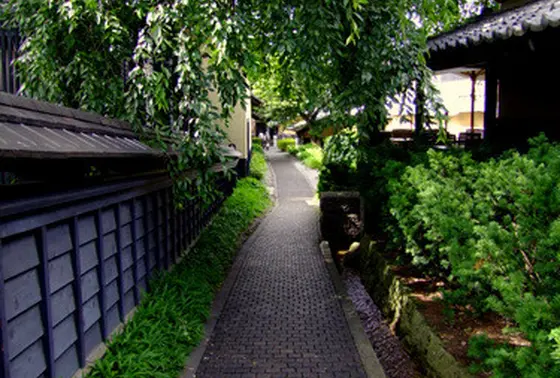 栗の小道
