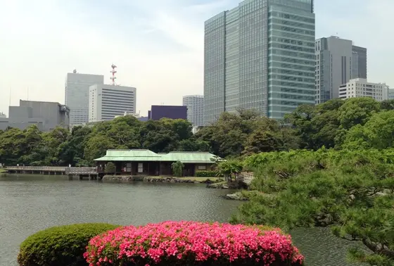 潮入の池