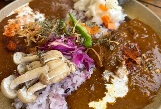 スポット内のおすすめ