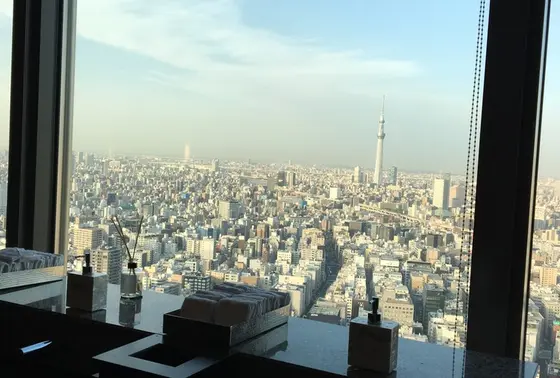 眺望バツグンの化粧室