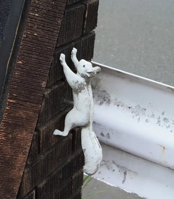 橋名板にはリスが