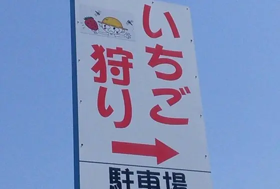 山の中のくねくね道(((((゜゜;)