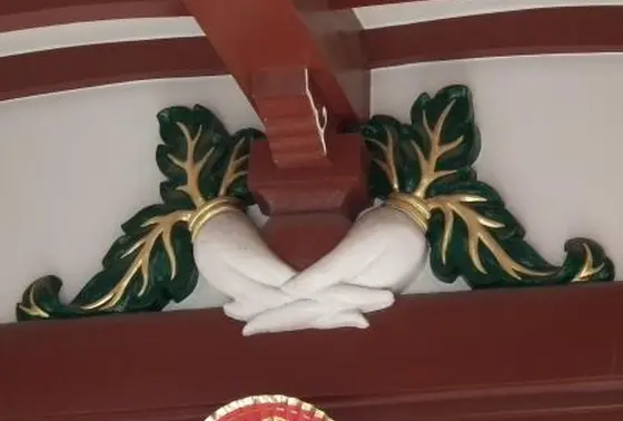 大根だらけ