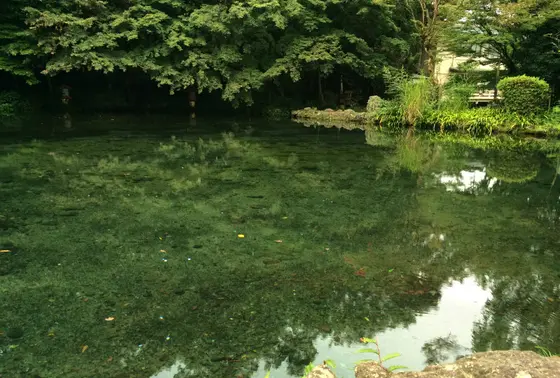 湧玉池