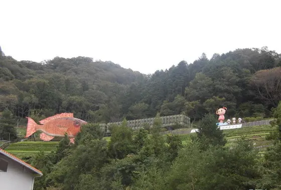 山にもさっちゃん